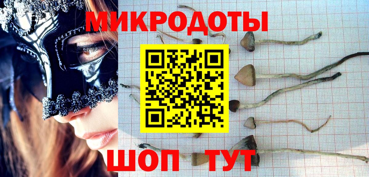 Псилоцибиновые грибы GOLDEN TEACHER Татарск